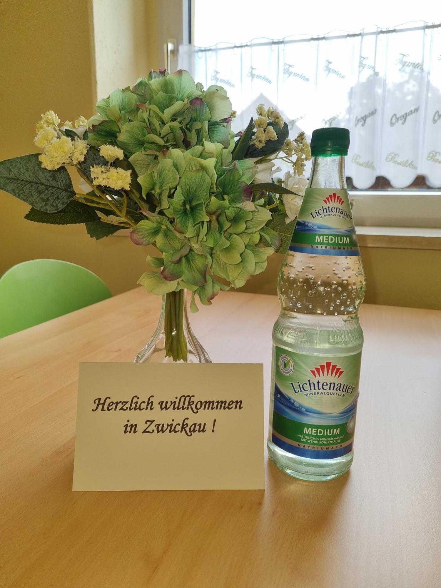 Ferienwohnung Im Zentrum Zwickaus Esterno foto
